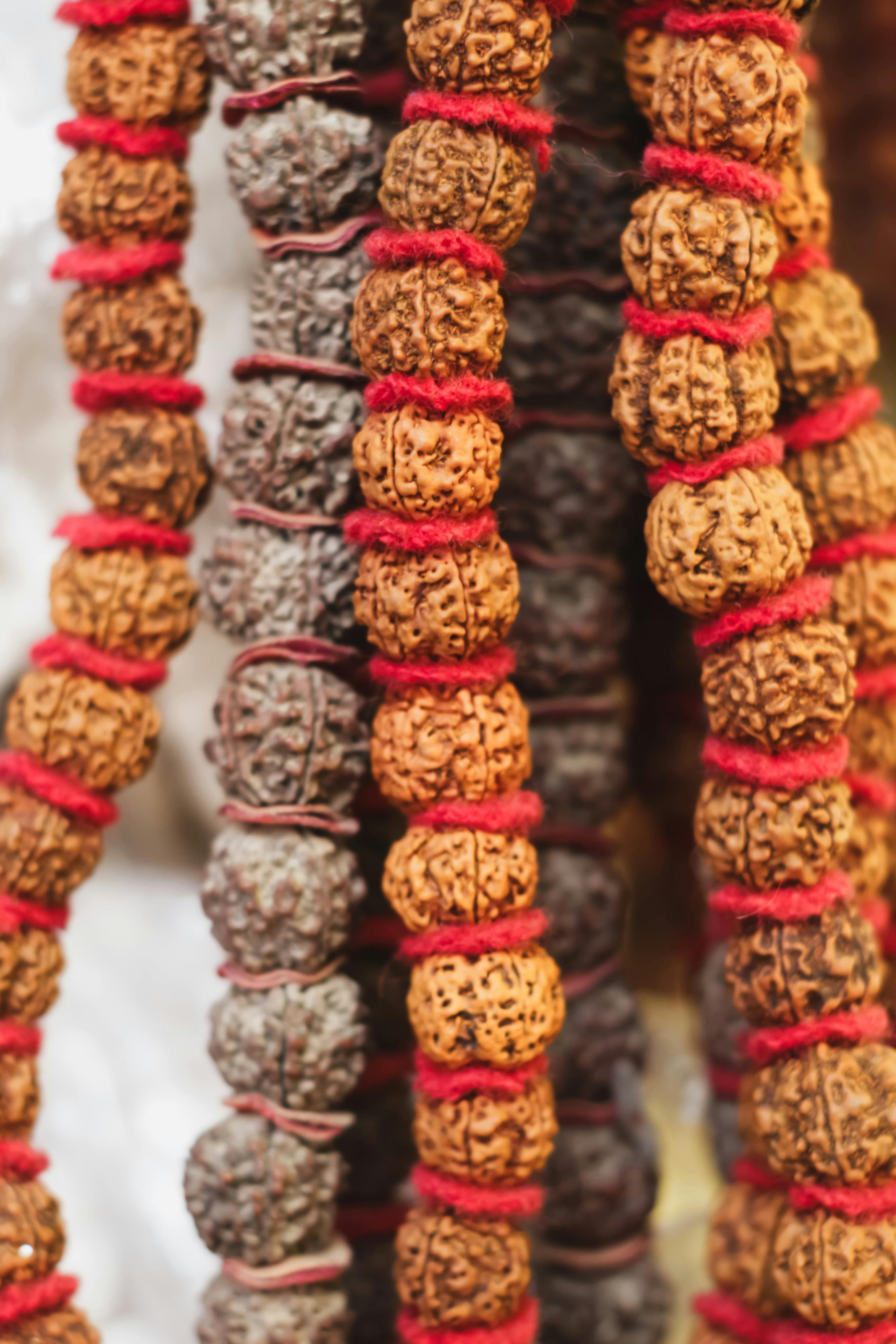 The Five Mukhi Rudraksha in Daily Practice
